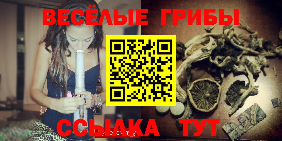 Северобайкальск  Псилоцибиновые грибы Psilocybine cubensis  купить наркотик  Вход с VPN 