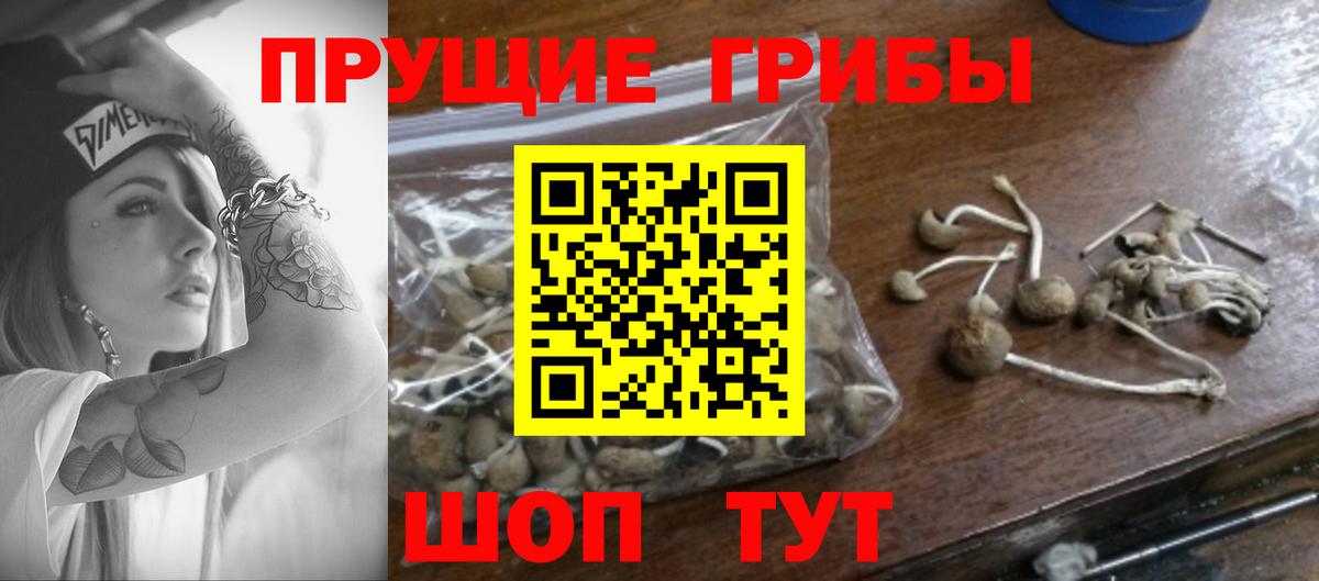 Галлюциногенные грибы мицелий Северобайкальск